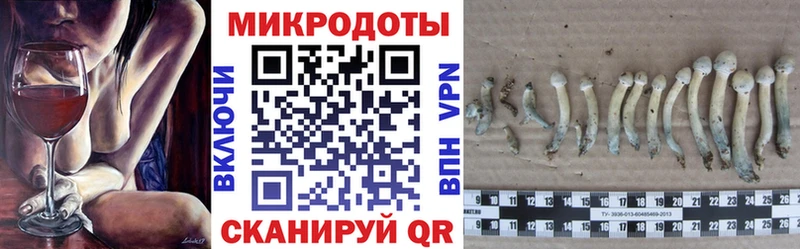 Купить где  Железноводск  Псилоцибиновые грибы Psilocybe 
